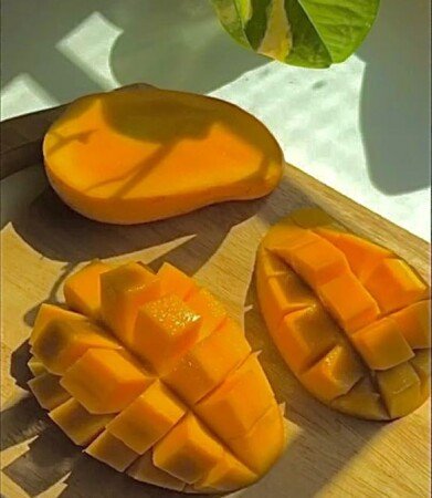 منرا