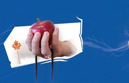 2H 4255