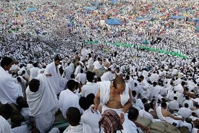 د حج فوت والی او هديه 4 2H 4563