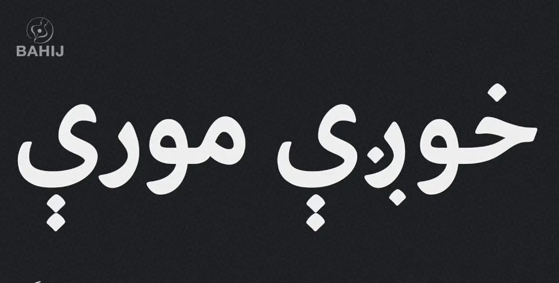 ولې ښځې امامت نشي کولی؟ 2 2H 5051