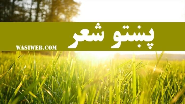 بیتونه-شعرونه