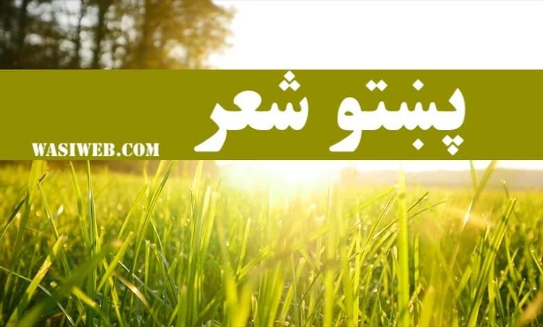 بیتونه-شعرونه