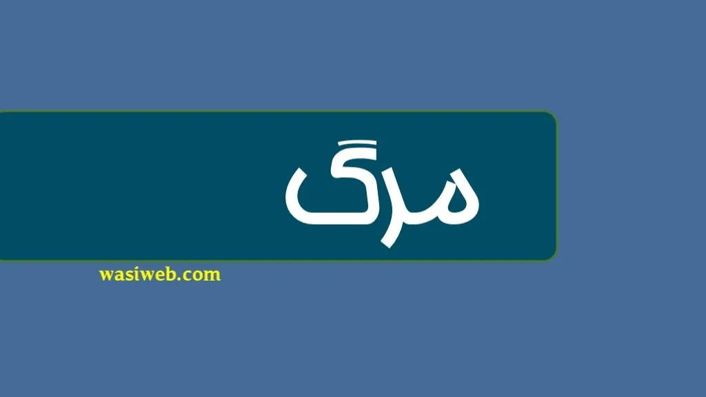 اسقاط څه شی دی؟ 5 2H 17406