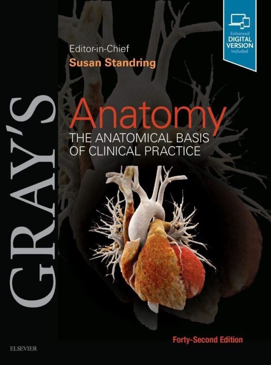 Gray’s Anatomy The Anatomical Basis Of Clinical Practice 42nd Edition