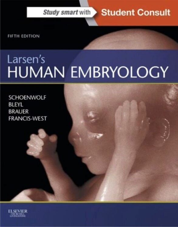 Larsen's Human Embryology 5th edition